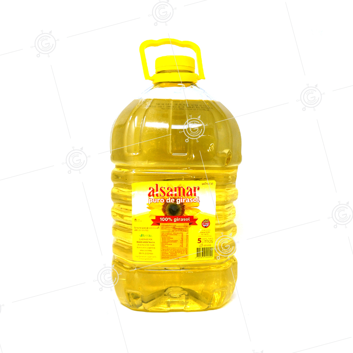 Aceite de oliva virgen extra 5 litros PET (garrafa de plástico) - Molea  Olearia